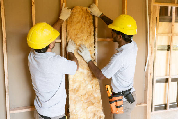 Trusted Ripley, MS Insulation Contractor Experts