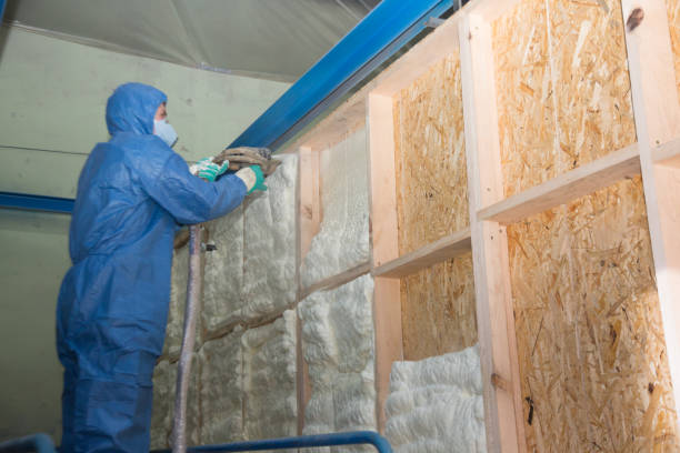 Best Home Insulation Services  in Ripley, MS